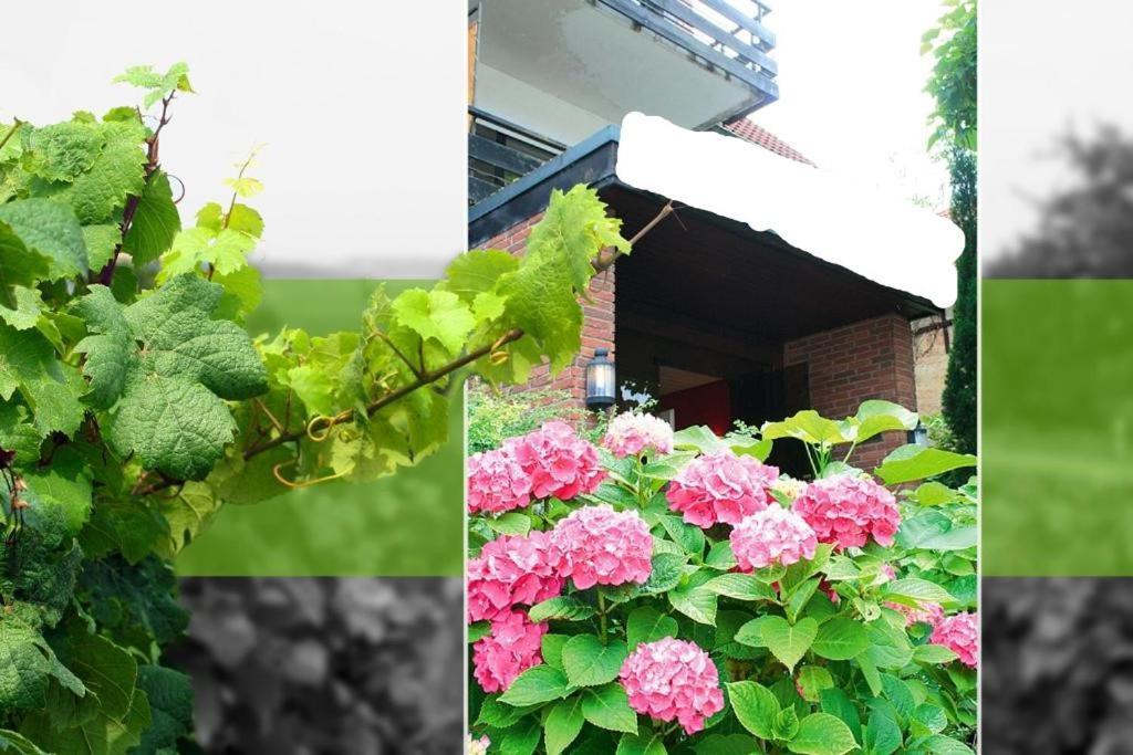 Hotel บาดเดือร์คไฮม์ ภายนอก รูปภาพ